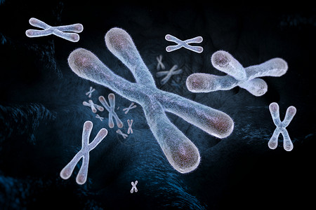 Telomeres数字插图生物学身体医疗染色体端粒技术遗传科学解剖学疾病背景