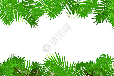 你好夏季框架夏季丛林棕榈叶框架背景