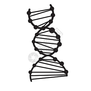 螺旋图标白色背景上的 dna 图标  dna 标志 平面样式  dna 图标 fo艺术生活网络按钮螺旋插图圆形医疗生物学基因背景