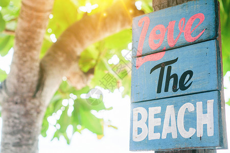 夏日促销字喜欢木板上的海滩字 挂在夏日海滩旁的树上背景