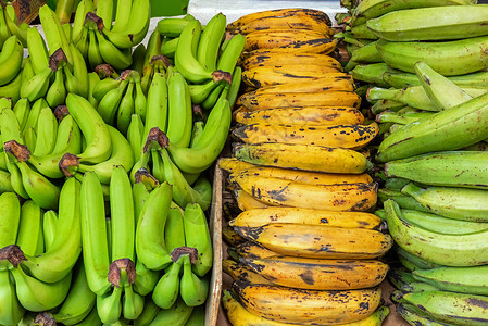 不同种类的香蕉销售品高清图片