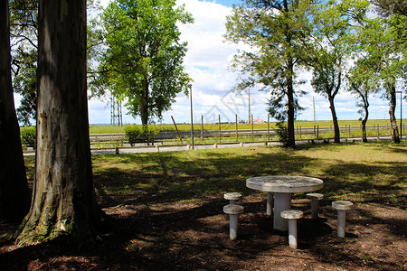 美丽的公园树荫下野餐区和桌子 公园在背景图片