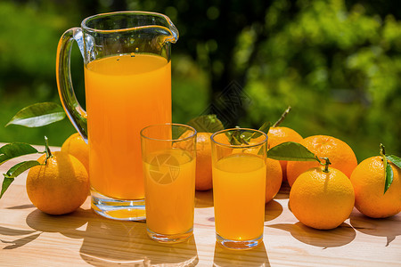 汉语普通话果汁和橙子生长水果作品食物耀斑产品场地果园农场收藏背景