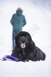 雪中行走的人黑色锻炼冻结的高清图片