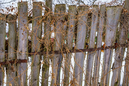 草率的钉在十字栏的木板栅栏风化风格横杆装饰植物材料线条光束条纹建造背景