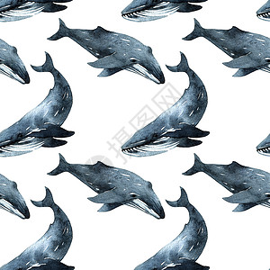 鲸鱼图案鲸鱼水彩色插图墙纸绘画草图蓝色水彩荒野游泳海上生活艺术海洋背景