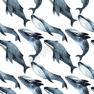海豚水彩鲸鱼水彩色插图游泳蓝色草图墙纸荒野海洋海上生活绘画艺术水彩背景