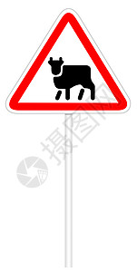 警告交通标志-驾驶牛背景图片