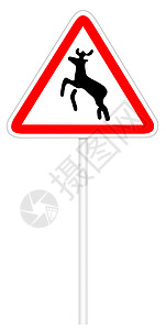 警告交通标志-野生动物背景图片