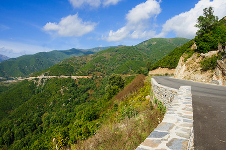 阿莱萨尼河绿色闲暇旅游地标海岸马戏团旅行高清图片