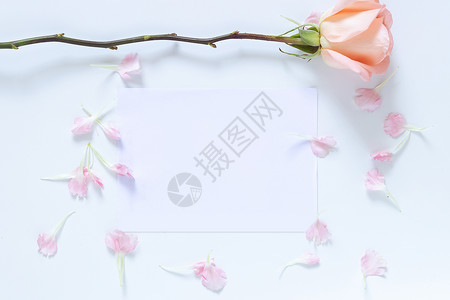 模拟邀请卡与玫瑰和粉红色的花瓣作为边框 带复制空间的空空白白卡背景图片