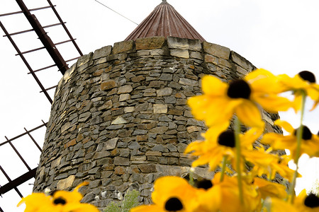 法国磨坊 表面有模糊的黄色花朵背景图片