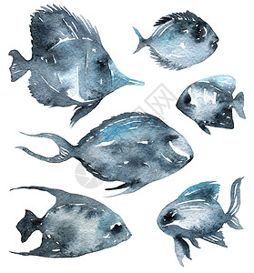 鱼类水彩色插图海上生活绘画草图游泳蓝色艺术海洋水彩荒野背景图片