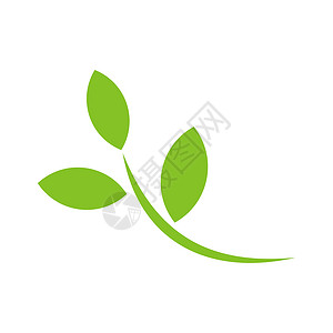 植物图标设计绿叶矢量标志模板插画设计 矢量 EPS 10环境工作室技术网络标识花园艺术互联网生物健康背景