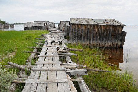 木制的路旧路通往废弃的拖车医生森林甲板铺板码头船台废墟降解国家木板支撑背景