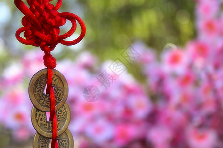 春节祝你一路发中国风水财富和成功 与Knot合唱团新年樱花硬币贸易粉色金子花园金融红色季节背景