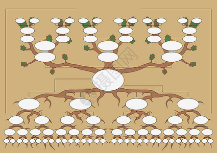 系谱树家谱亲属父母卡通片祖先图表祖母祖父母亲后人设计图片