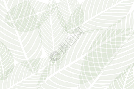 绿色矢量树叶白色背景上绿色 alpha 透明程式化叶子的矢量组成背景
