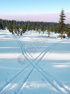 在冬季山上穿越国家滑雪的两条路越野高地跑步云杉降雪木头风景场景生活大雪背景