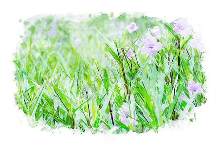 春花图像 水彩色和照片混合介质水彩绘画背景图片