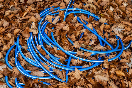 秋叶间蓝色水管背景图片
