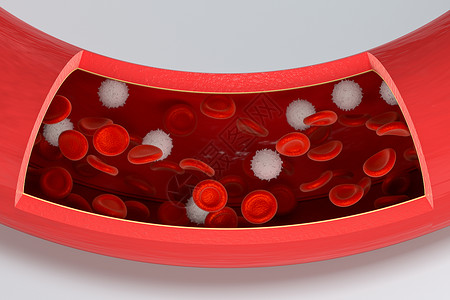 造血血管中的红细胞和白细胞3d 渲染生活病理血液学微生物学解剖学白细胞血小板药品心血管科学背景