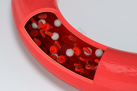 造血血管中的红细胞和白细胞3d 渲染生活生物血小板科学插图药品微生物学解剖学白细胞动脉背景