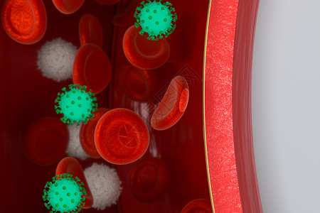 2019冠状病毒疾病血液中的病毒 加上红色和白色的血细胞 3D接触流感场景生物学病理细胞生活红细胞流动科学生物背景