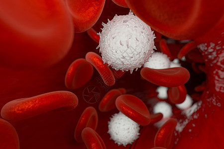 临床疾病血管中的红细胞和白细胞3d 渲染免疫学生活临床血小板血液学流动药品解剖学显微镜科学背景