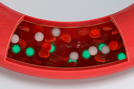 造血血液中的病毒 加上红色和白色的血细胞 3D接触血管生物心血管渲染流感血小板感染细胞疾病药品背景