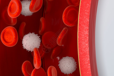 造血血管中的红细胞和白细胞3d 渲染临床病理生物细胞血液学生活白细胞科学动脉药品背景