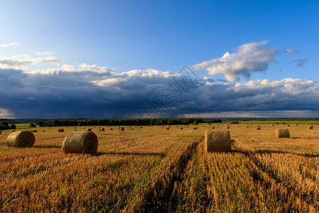 秋天的秋季赛季上场打猎农村地平线日落农场稻草阳光粮食食物植物草地背景图片