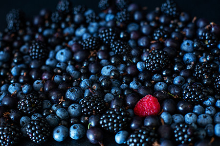 唯一性概念 不像其他人 桑葚黑莓和蓝莓混合堆中的红树莓性格荆棘蓝色植物团体孤独覆盆子食物饮食花园背景