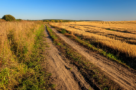 秋天的秋季赛季上场打猎小麦干草日落食物圆圈农村天空粮食收获农业背景图片