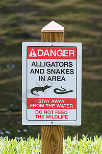 与蛇和蛇的警告标志高清图片
