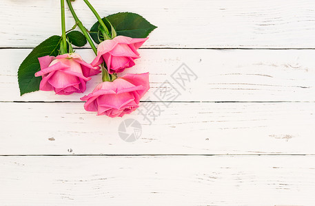 白木背景的粉红玫瑰花背景图片
