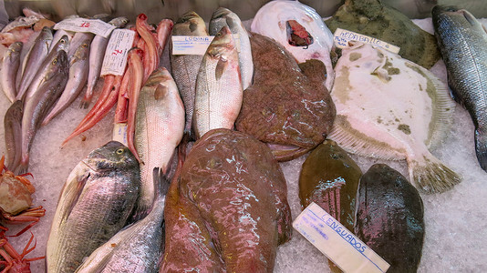 梅诺卡市米诺卡鱼市场游客高清图片
