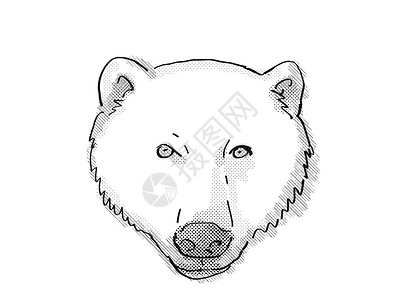 熊卡通形象北极熊卡通回溯性绘图背景