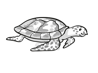 玳瑁龟濒危野生动植物野生生物漫画单线绘画公司背景