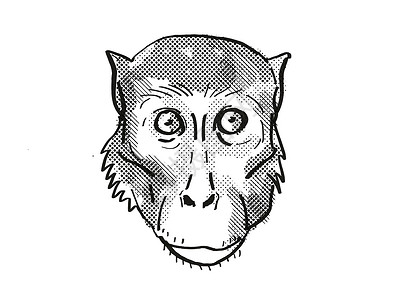 猴子头猴子卡通回溯性绘图背景
