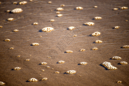 沙上冲浪的泡沫泡泡海滩白色棕色晴天墙纸气泡海洋背景图片