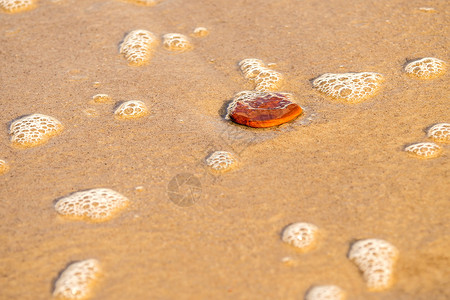 沙滩 布有石子和冲浪喷雾娱乐假期墙纸黑色旅游假日旅行白色海洋泡沫背景图片