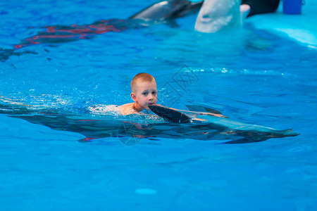 快乐的小男孩与海豚在海豚馆游泳童年蓝色朋友孩子宠物喜悦水池乐趣假期海洋背景