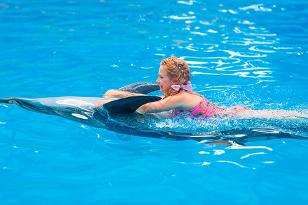 粉红色的海豚快乐的小女孩与海豚在海豚馆游泳拥抱乐趣微笑喜悦朋友治疗蓝色哺乳动物疗法吸引力背景