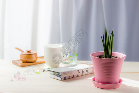 咖啡杯 玻璃片 报纸和放在窗户桌上的粉红锅里灌封办公室木头杯子咖啡咖啡店房间早餐阳光植物学背景图片
