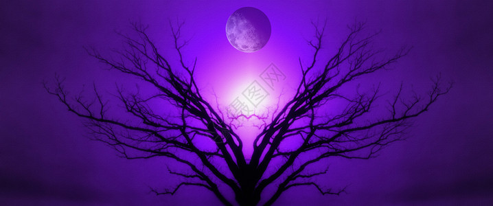 生命树紫色太阳世界阳光生活月光月亮艺术品天空日落背景图片