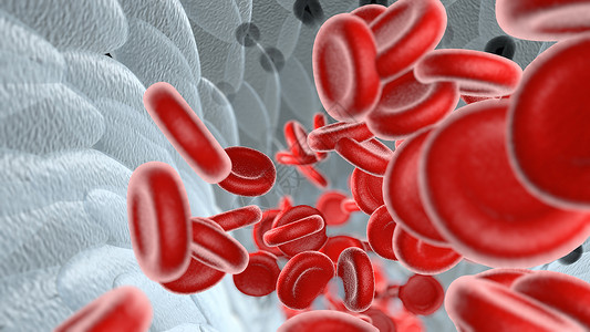 白色背景上的三维血细胞投影 超高分辨率 高像素图片 主题在右侧   info whatsthis背景图片