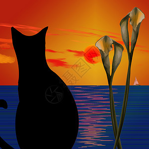 猫轮廓黑猫艺术品绘画艺术变色帆船海洋百合插图猫科天空背景