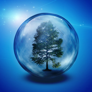 透明发光的球绿树魔法玻璃木头球体地球树叶圆顶插图蓝色分支机构背景