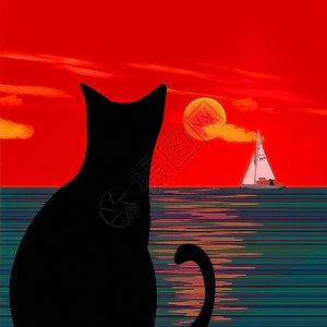 猫轮廓黑猫阳光身体天空艺术品百合耳朵家庭地平线太阳动物背景